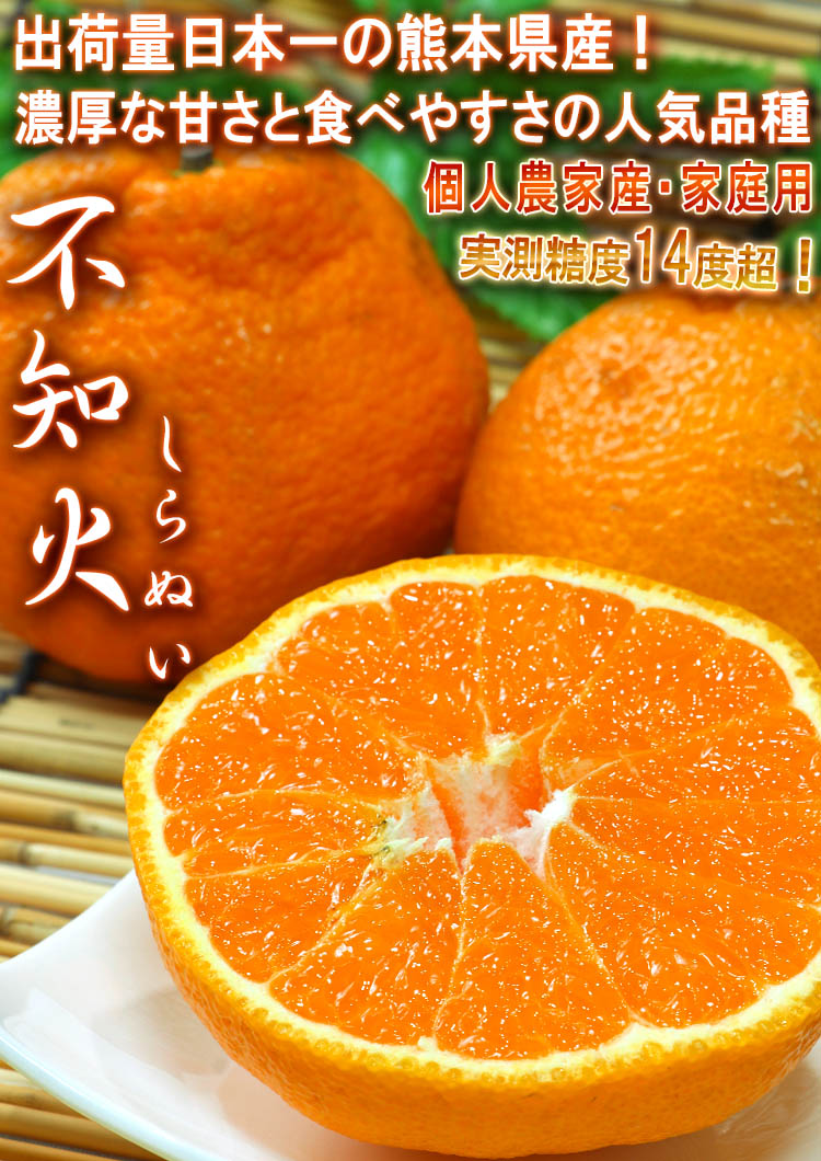 不知火 熊本