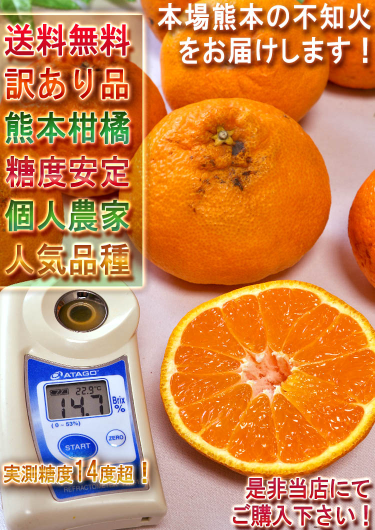 訳あり 蜜柑