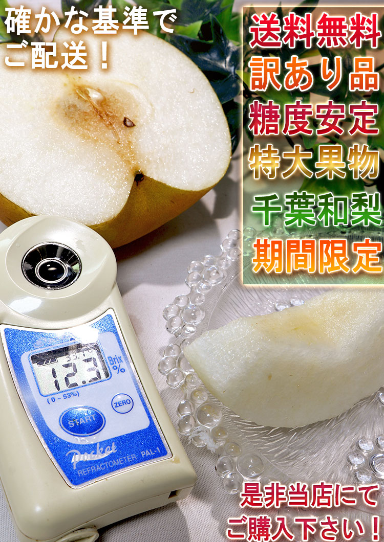 家庭用 フルーツ
