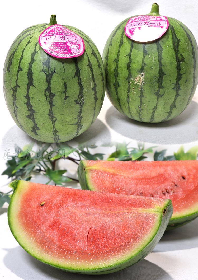 こだま 西瓜