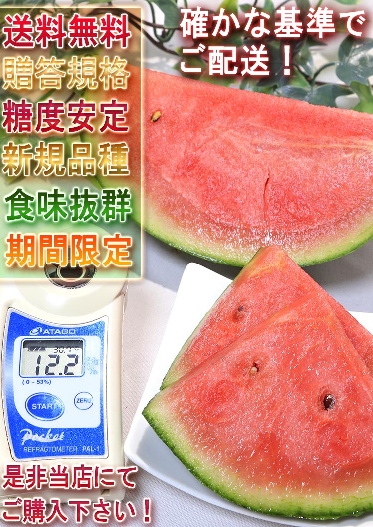 茨城 小玉すいか