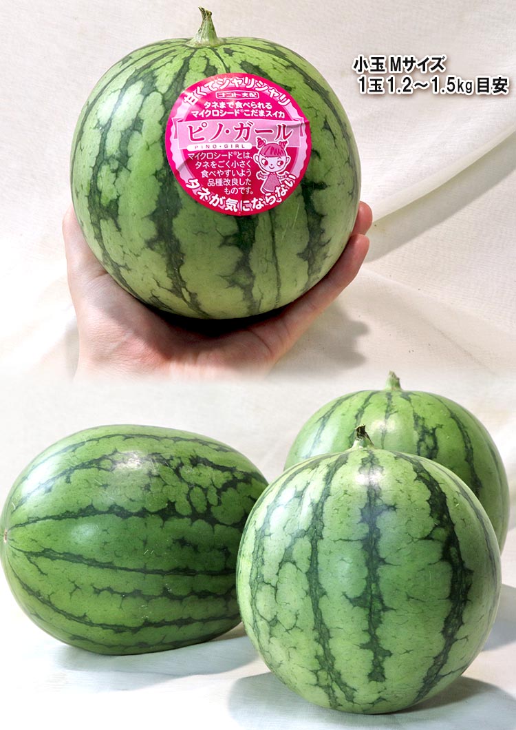 ピノ・ガール すいか