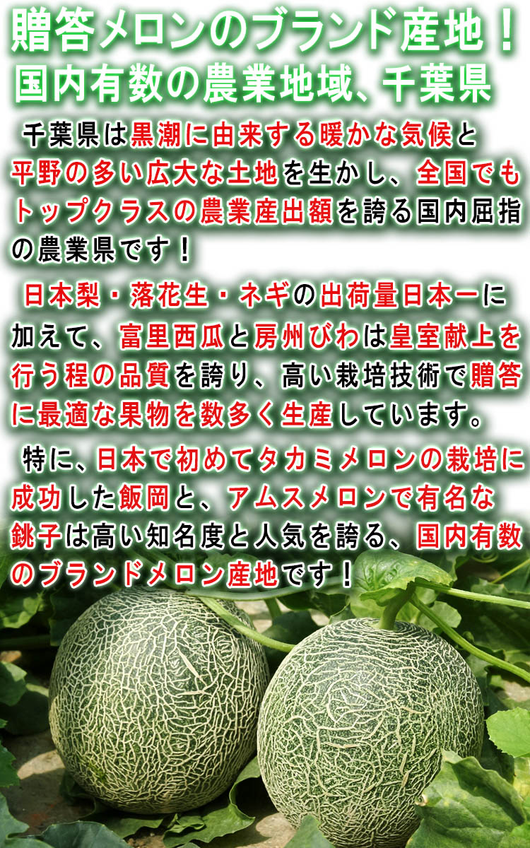 貴味メロン 千葉