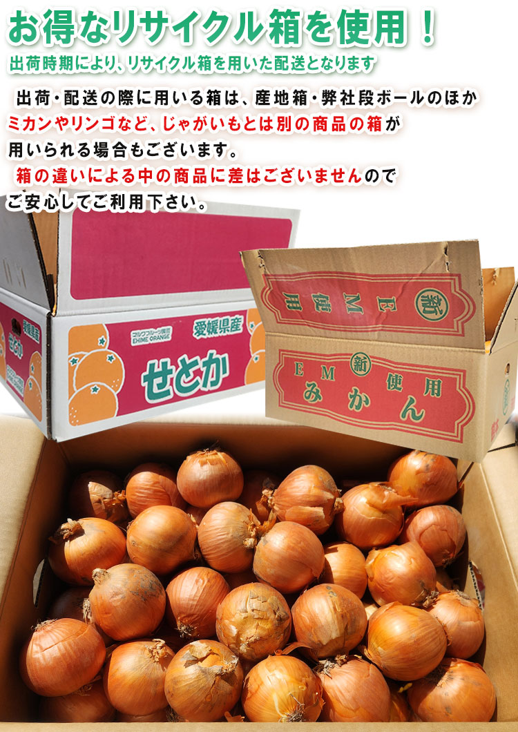 たまねぎ 季節