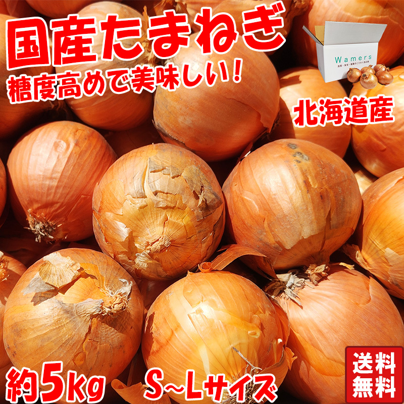 送料無料 通販