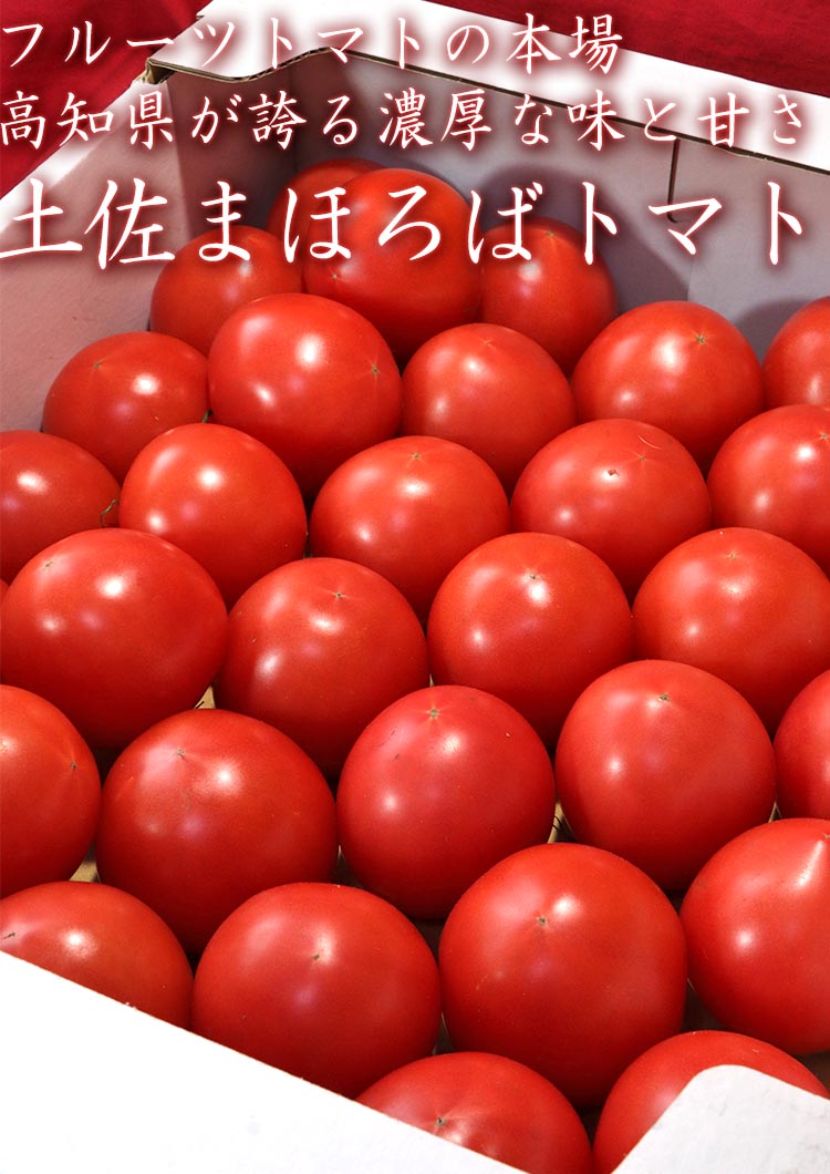土佐まほろばトマト ギフト