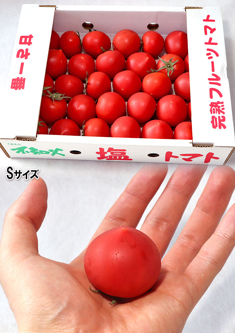 フルーツトマト くまもと