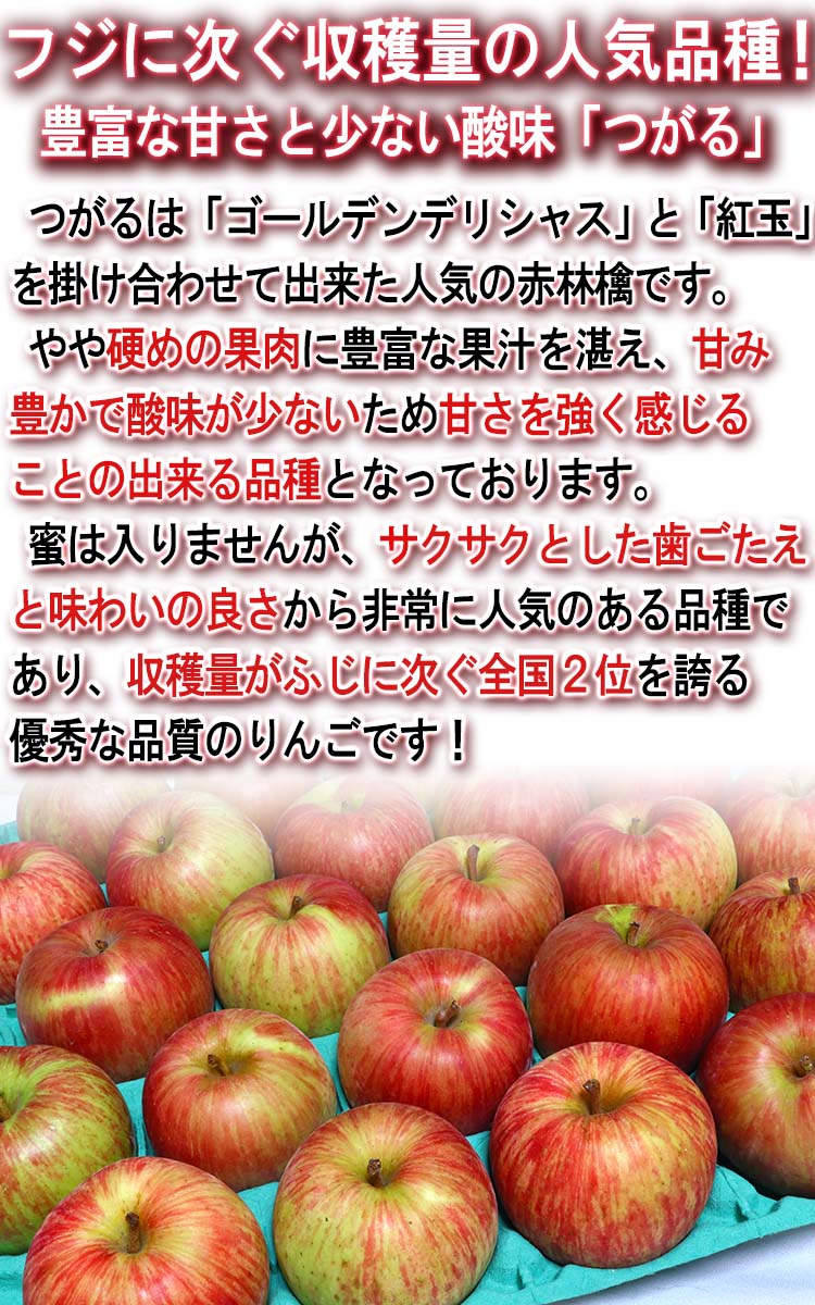 果物 リンゴ