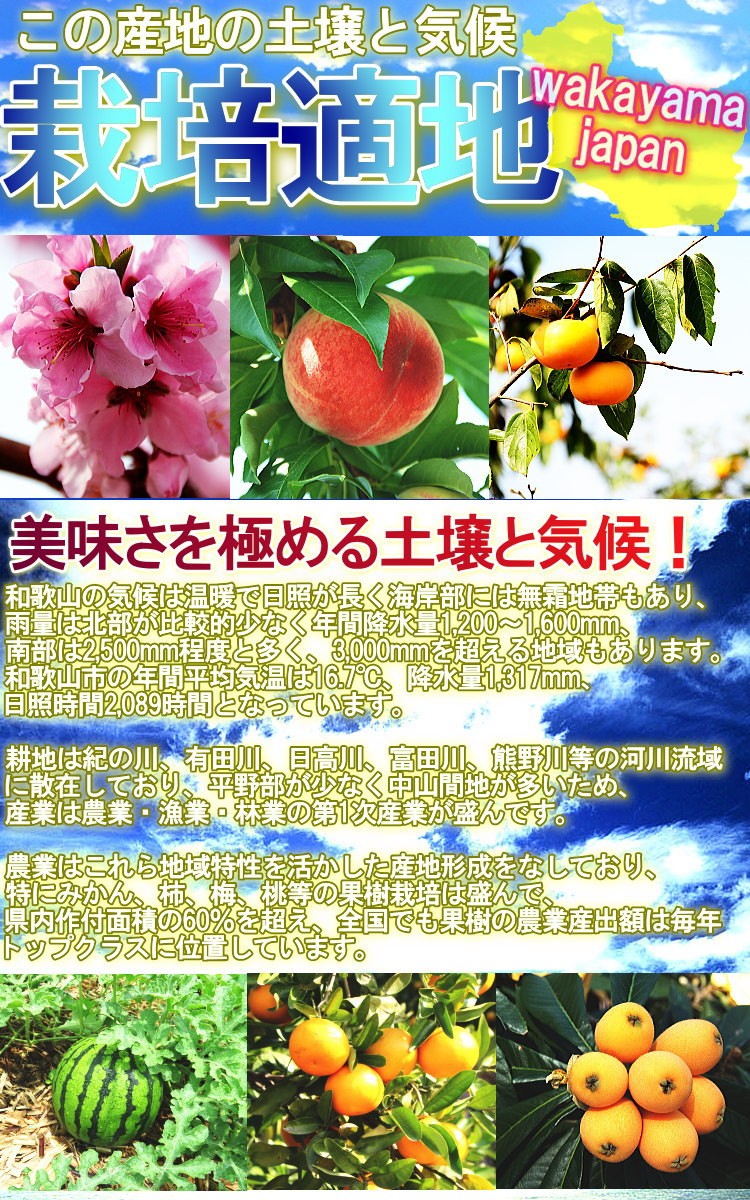和歌山 フルーツ