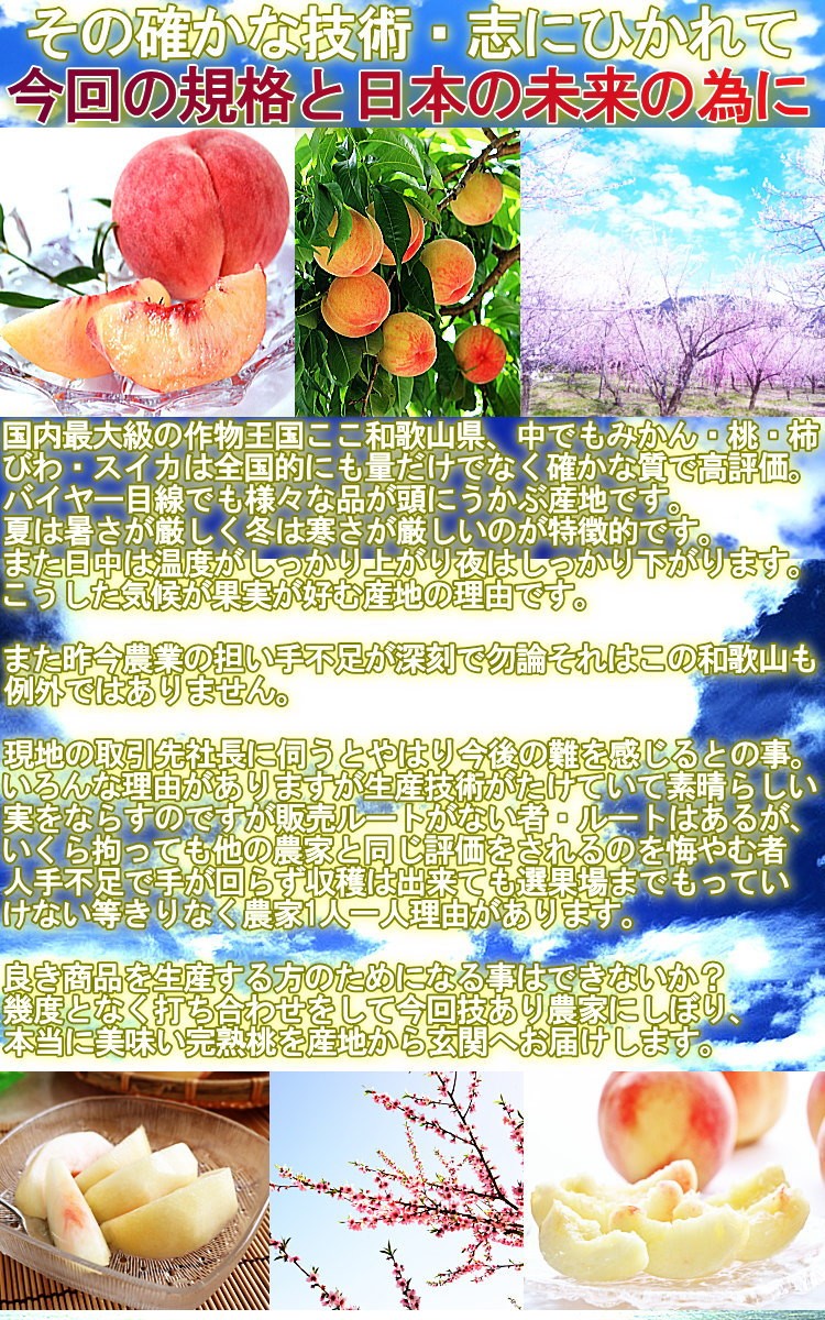 産地直送 モモ