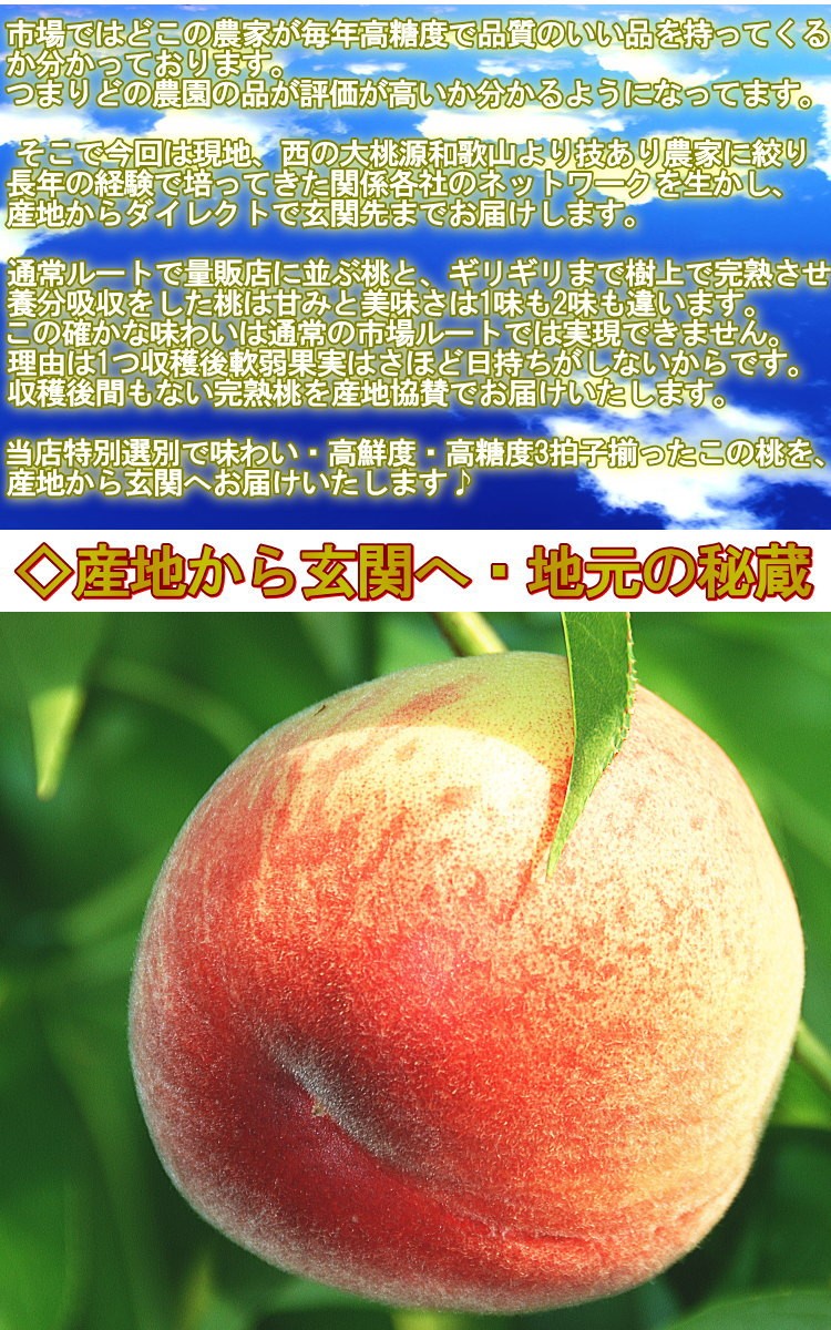 和歌山 フルーツ