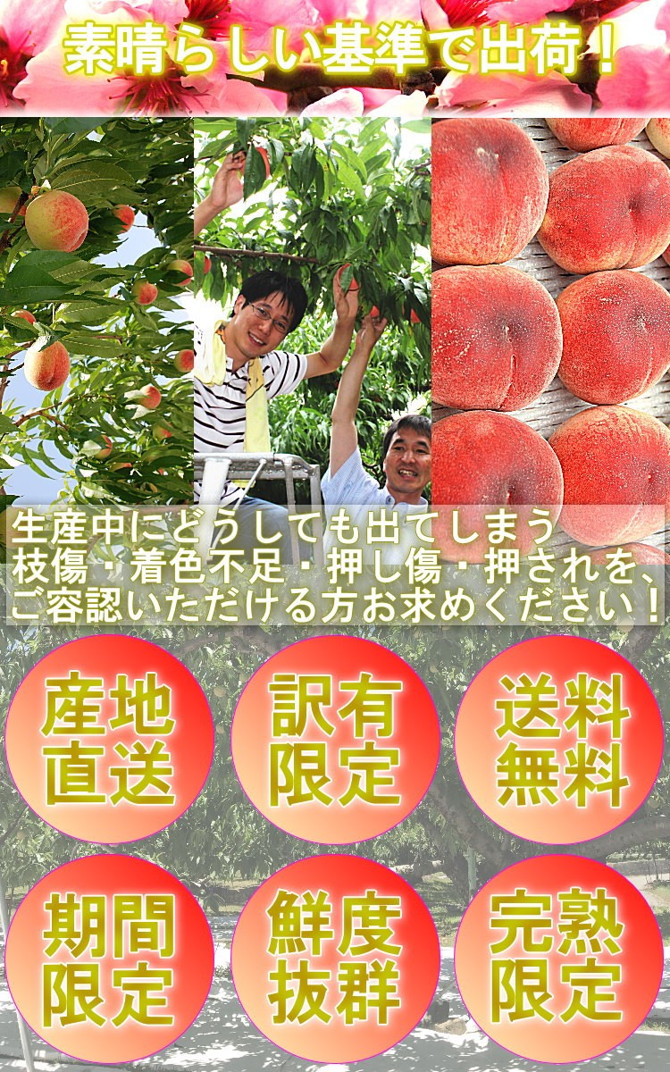 産地直送 モモ