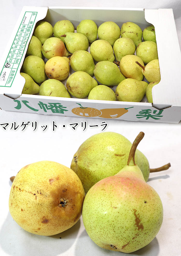 マルゲリットマリーラ 果物