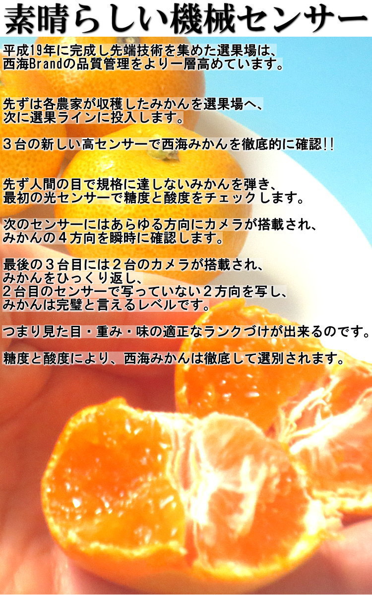 JAながさき西海 通販