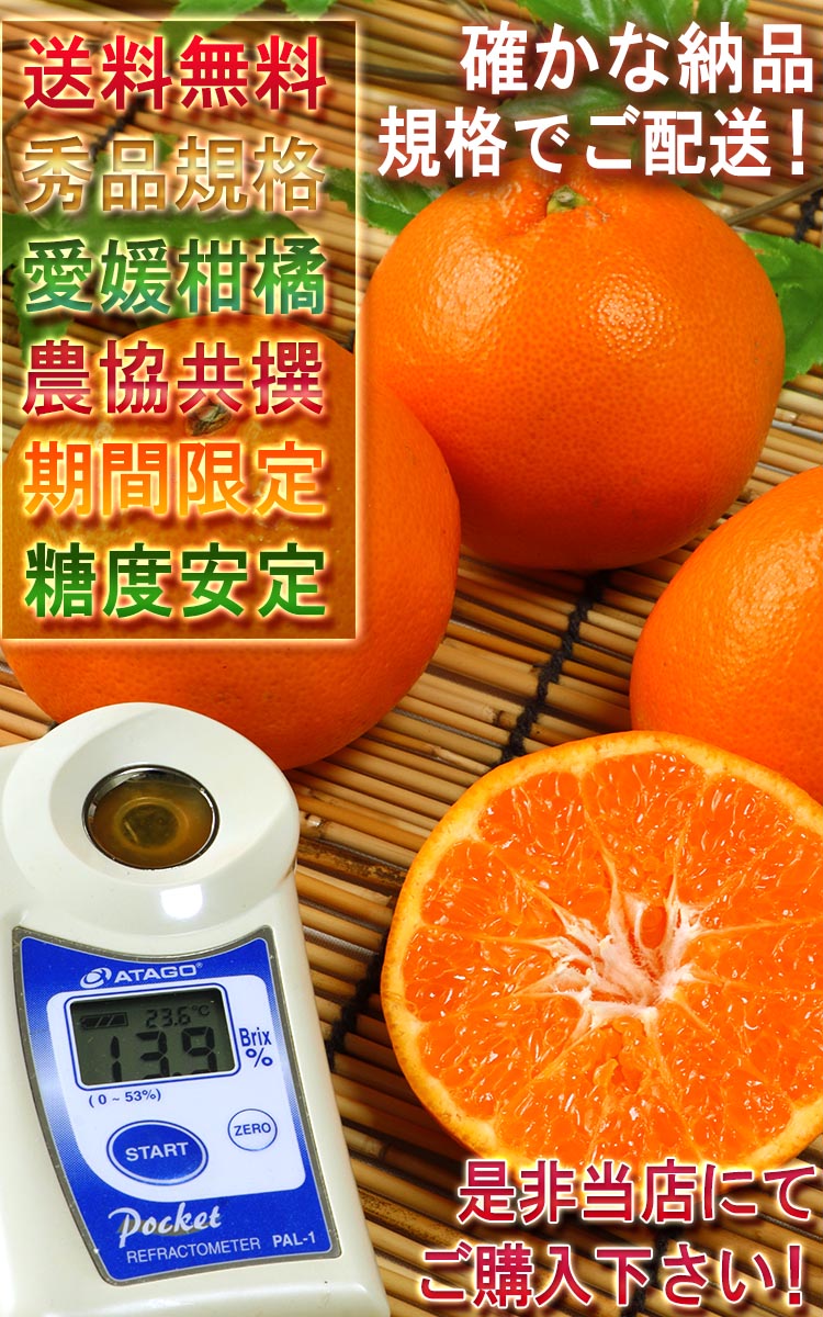 果物 タンゴール