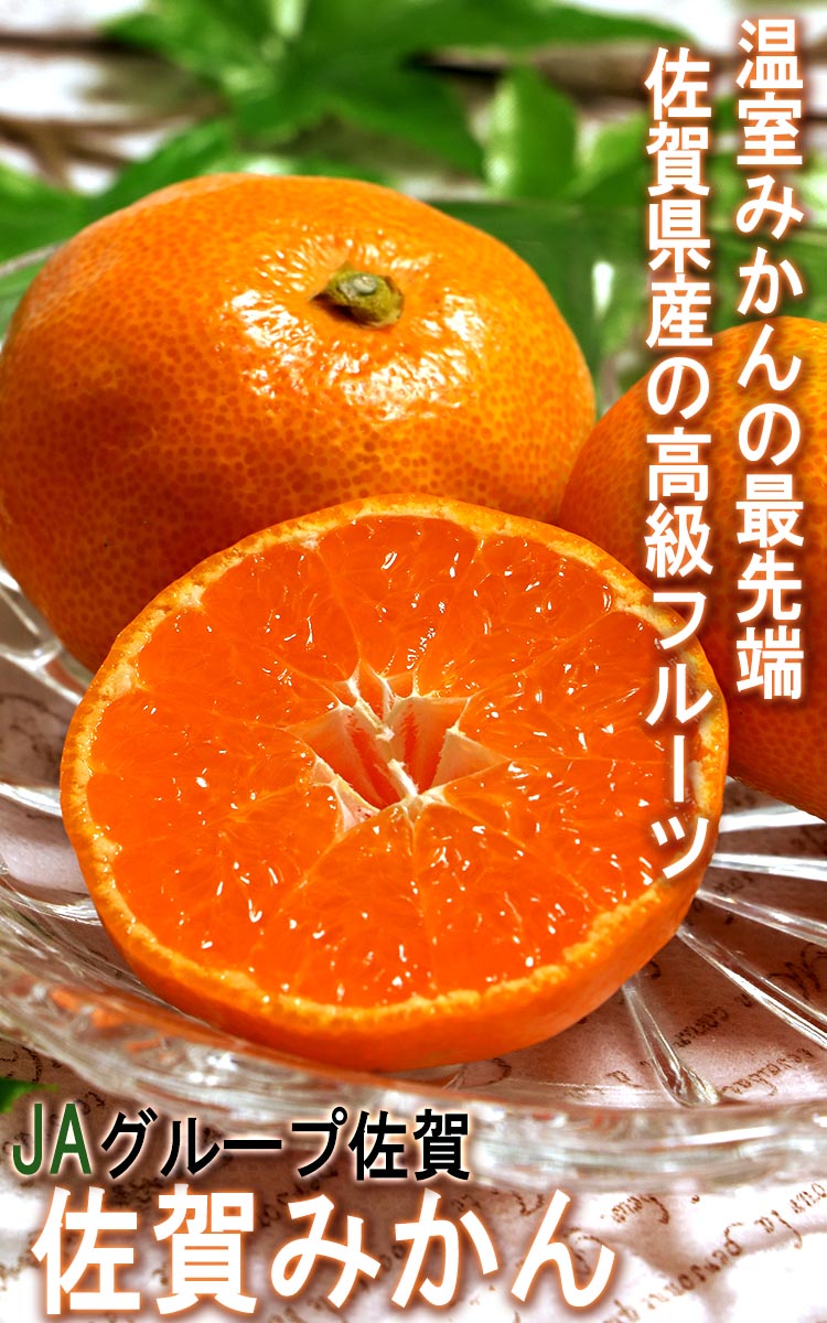温室みかん 佐賀