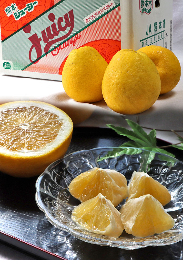 宇和ゴールド 贈答