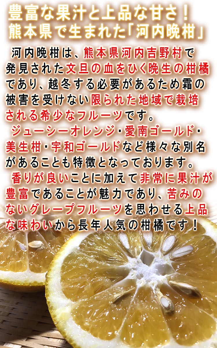熊本県産　柑橘類