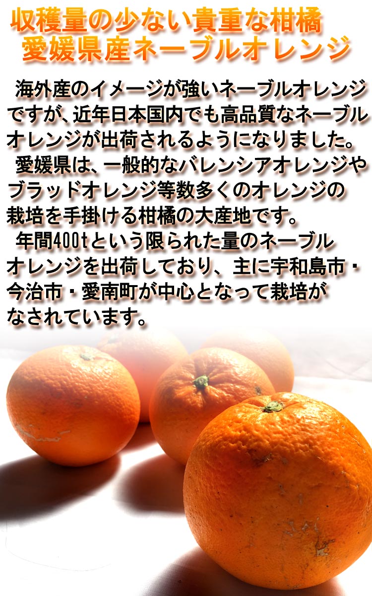 送料無料 ネーブルオレンジ