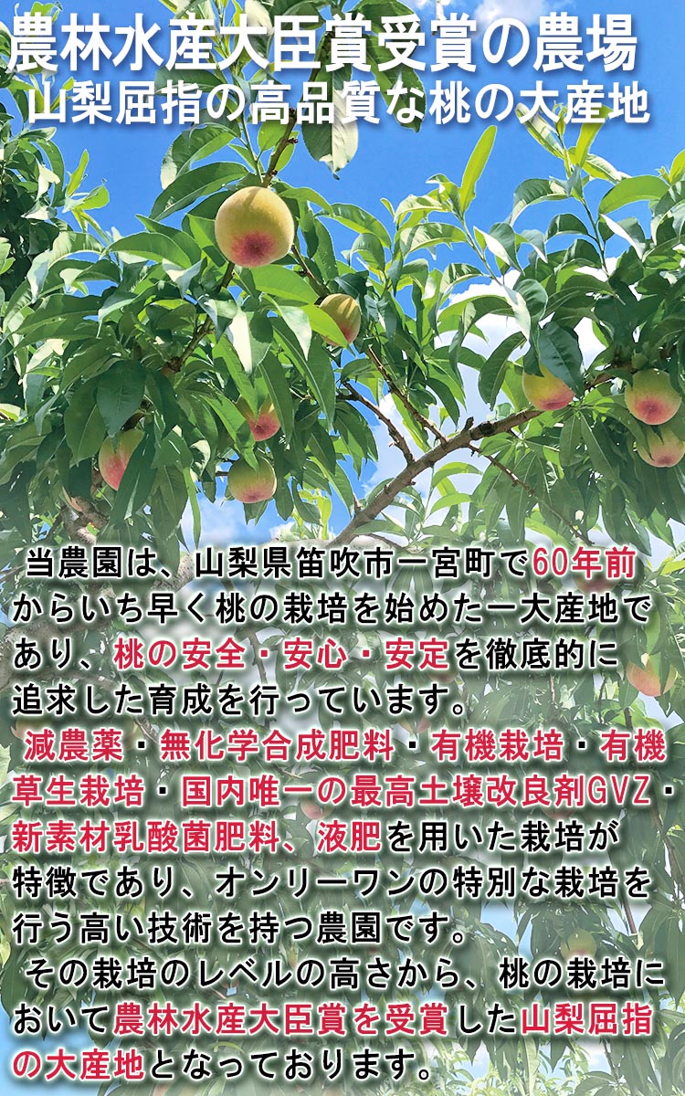 山梨 もも