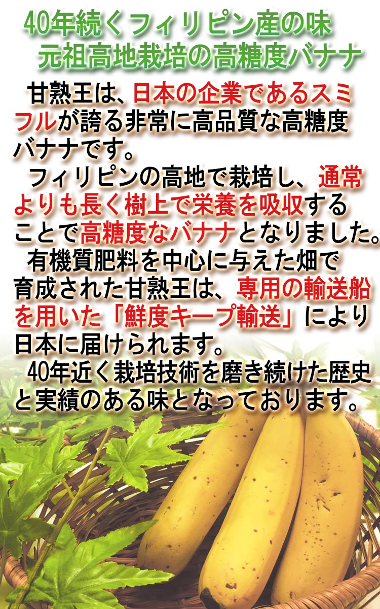 最終！滋賀県産　すだち　6kg 農薬不使用栽培　自家製栽培　国産