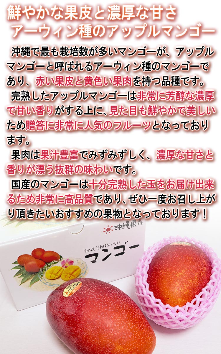 通販 マンゴー