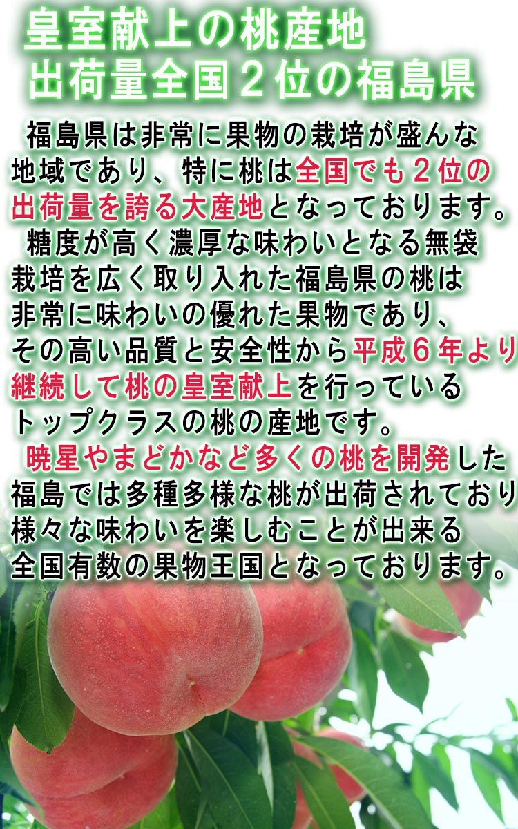 贈答 もも