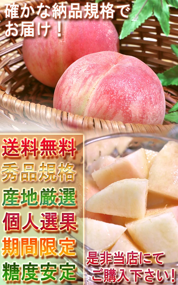 送料無料 モモ