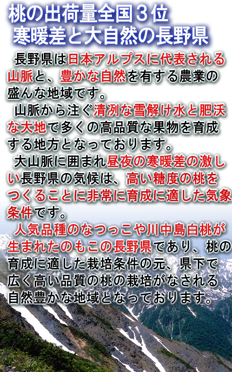 モモ ギフト