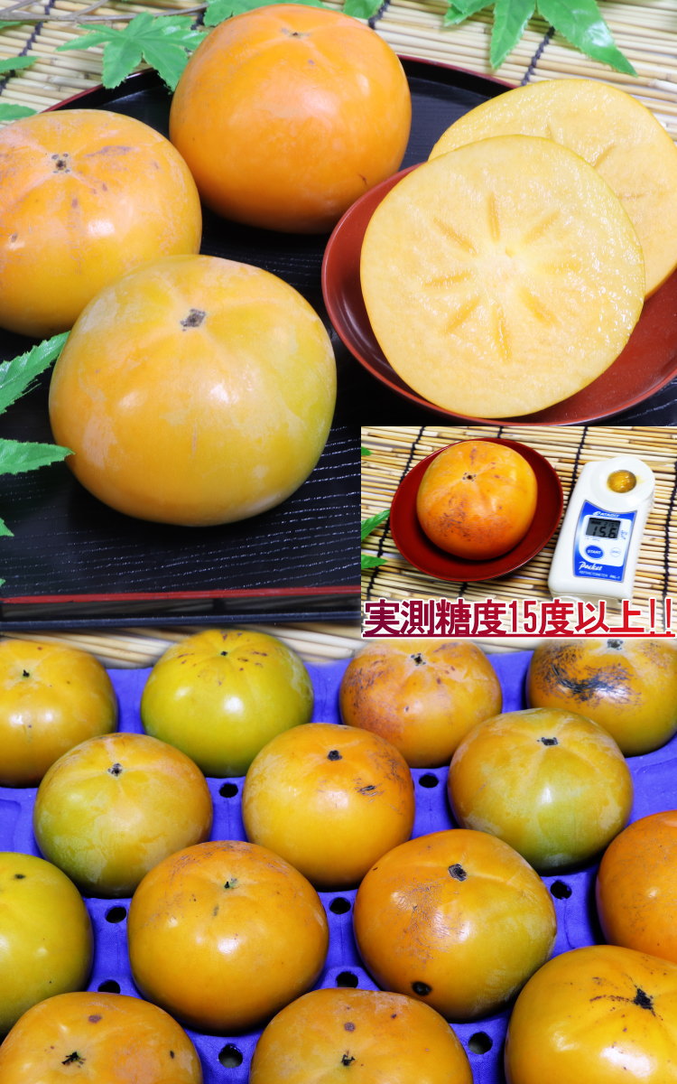 送料無料 カキ