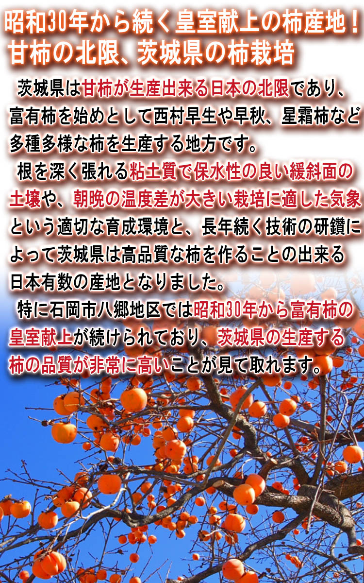 果物 訳あり