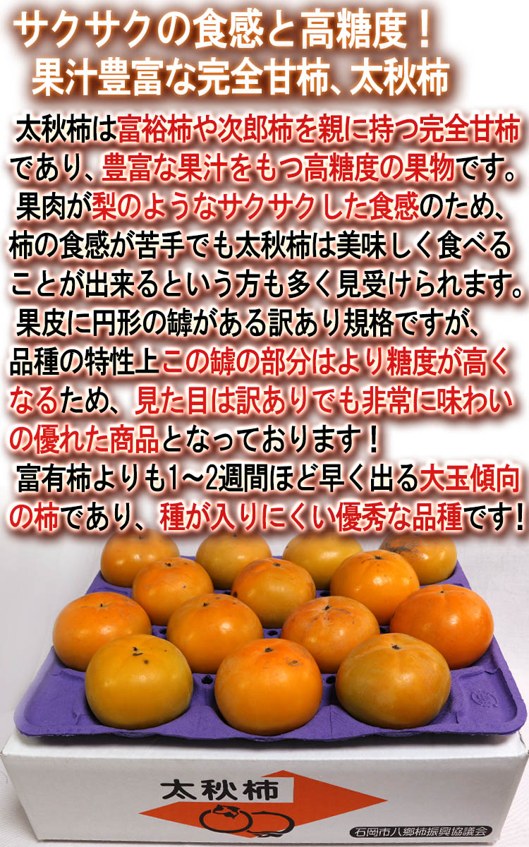 フルーツ 太秋柿