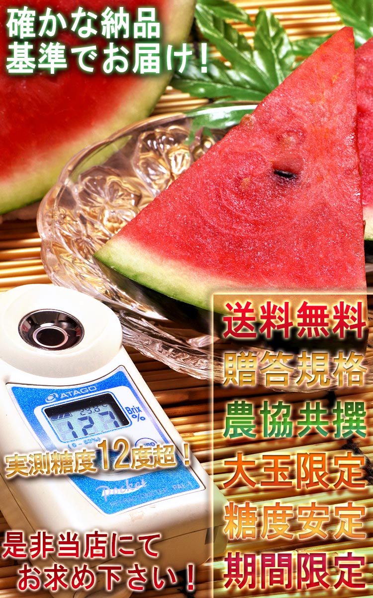 送料無料 大玉スイカ