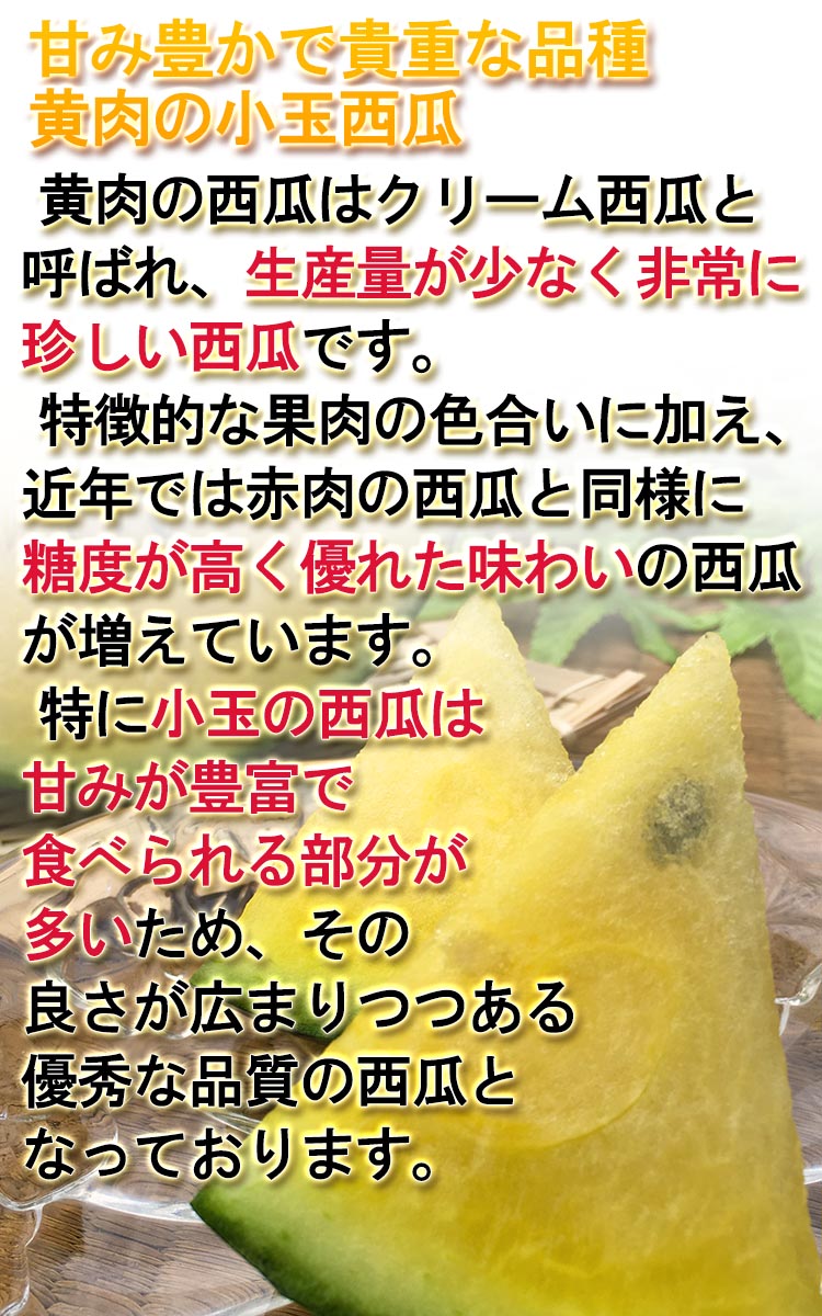 こだま西瓜 贈答