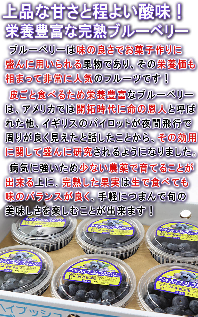 フルーツ 千葉県