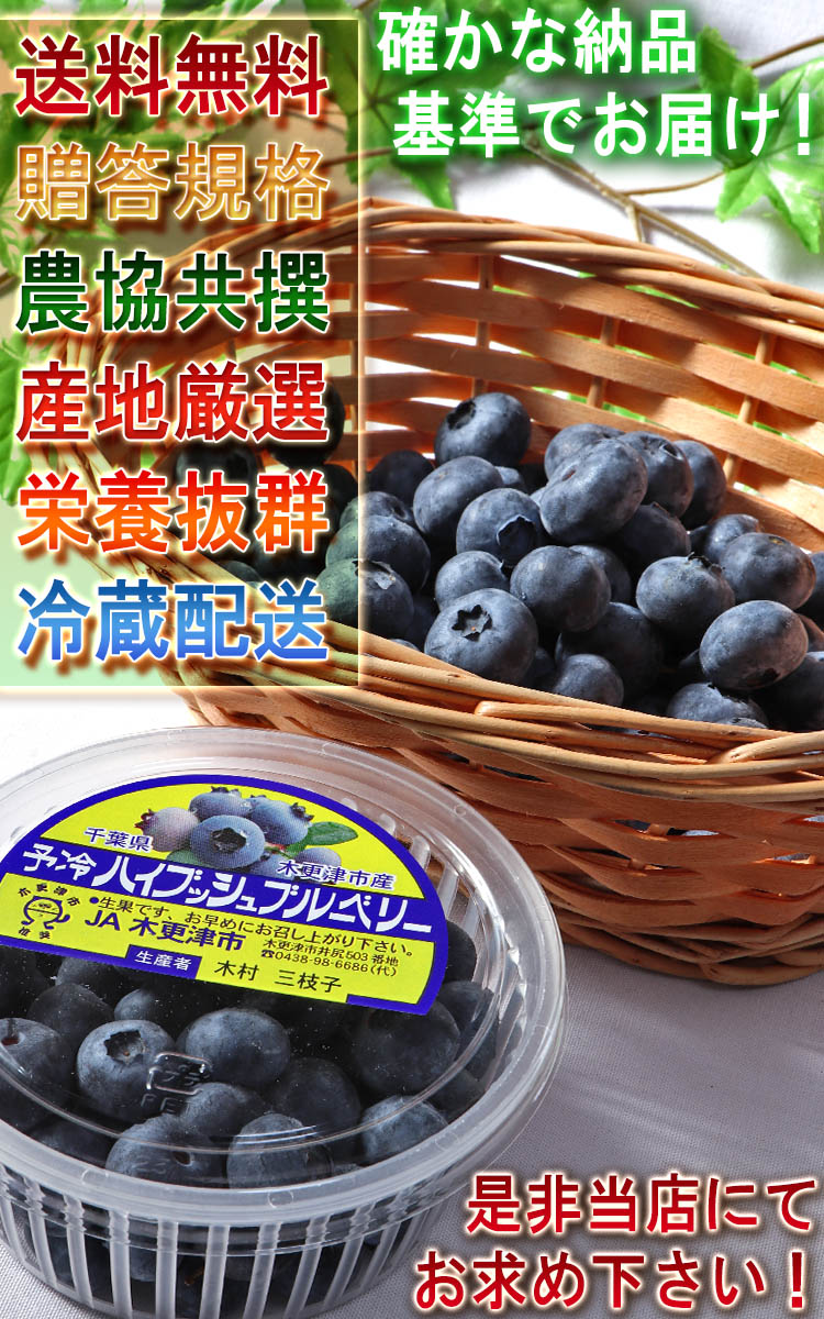 木更津 ブルーベリー
