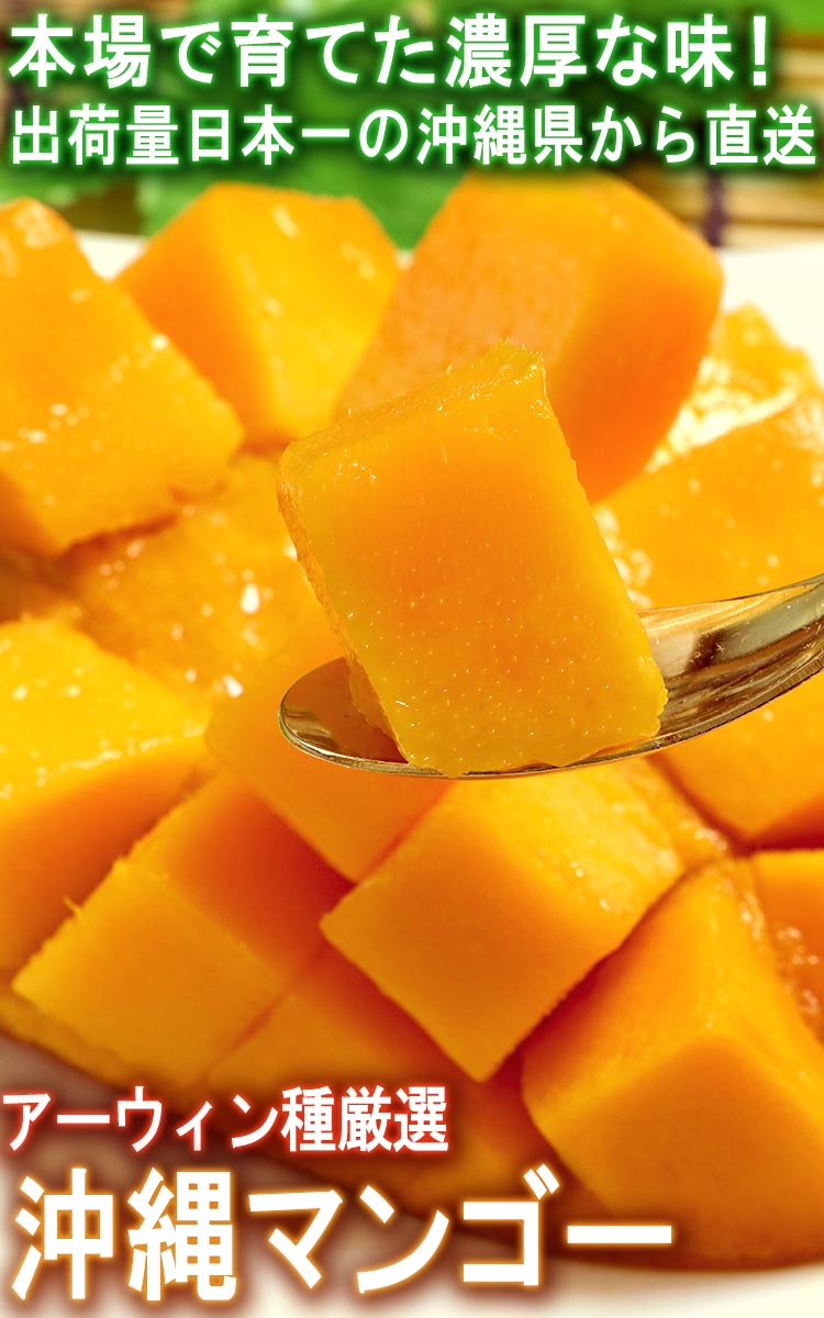 沖縄 マンゴー