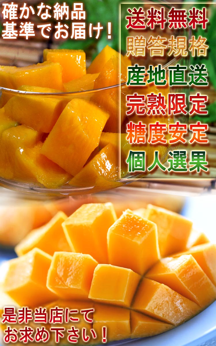 マンゴー ギフト