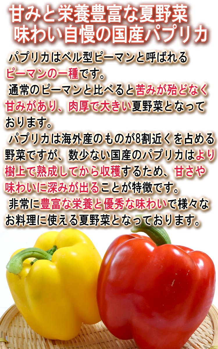パプリカ 送料無料