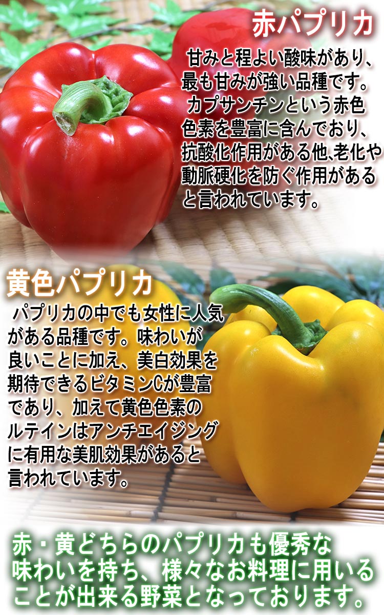 夏野菜 通販