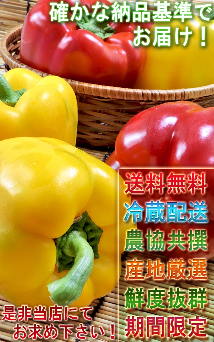 赤パプリカ 緑黄色野菜