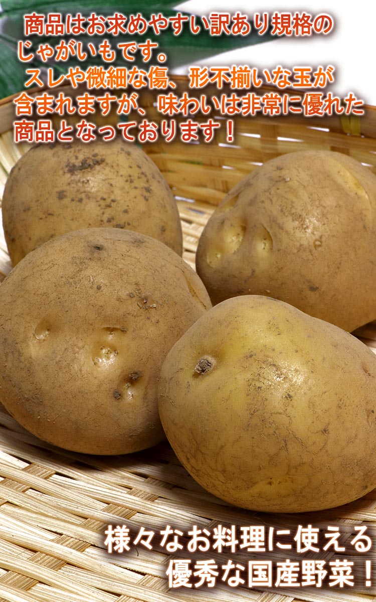 通販 ジャガイモ
