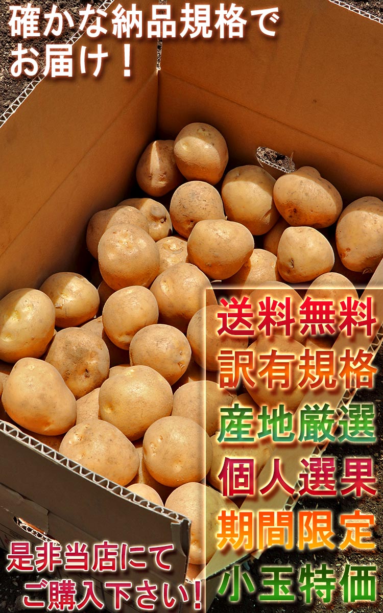 お徳用 じゃが芋