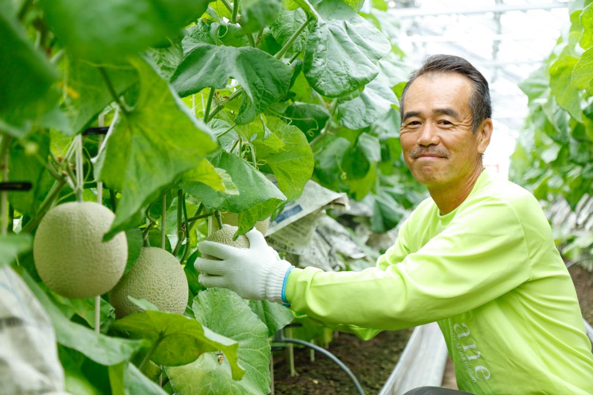 メロンで人を幸せに 味と香りの良さを第一に の思いから生まれたスペシャルなメロン ぐるすぐり 情熱の目線