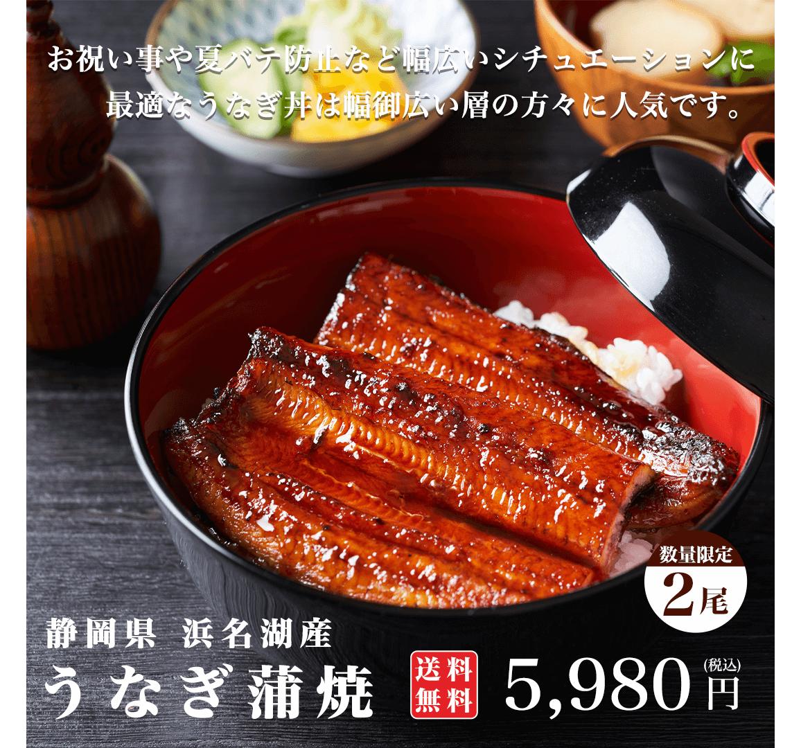 浜名湖産養殖うなぎ蒲焼6本セット【北海道.沖縄.離島以外は送料無料】 - bookteen.net