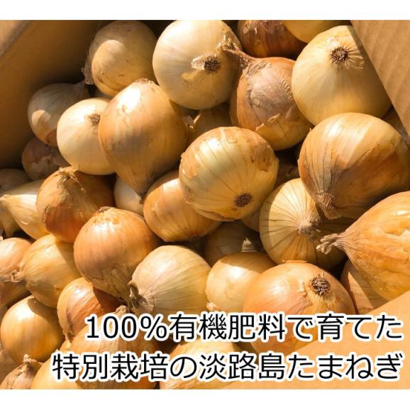 兵庫県淡路島産 玉ねぎ 大きさおまかせ １パック３個入り 野菜詰め合わせセットと同梱で送料無料 送料別 808青果店の通販 お取り寄せなら ぐるすぐり