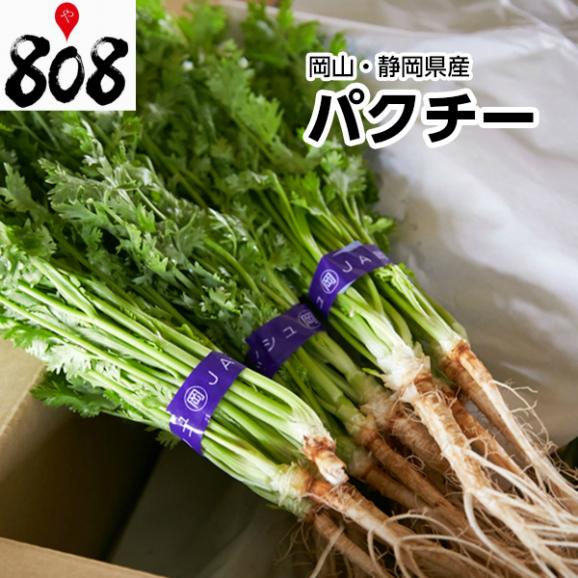 岡山 静岡県産 パクチー コリアンダー 香菜 1束100g 野菜詰め合わせセットと同梱で送料無料 送料別 808青果店の通販 お取り寄せなら ぐるすぐり