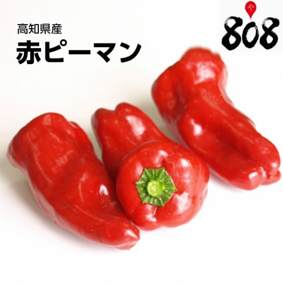 高知県産 赤ピーマン 1パック 約500g 野菜詰め合わせセットと同梱で送料無料 送料別 808青果店の通販 お取り寄せなら ぐるすぐり