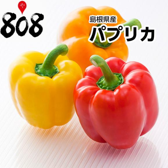 島根県産 パプリカ 1個 約180g 野菜詰め合わせセットと同梱で送料無料 送料別 808青果店の通販 お取り寄せなら ぐるすぐり