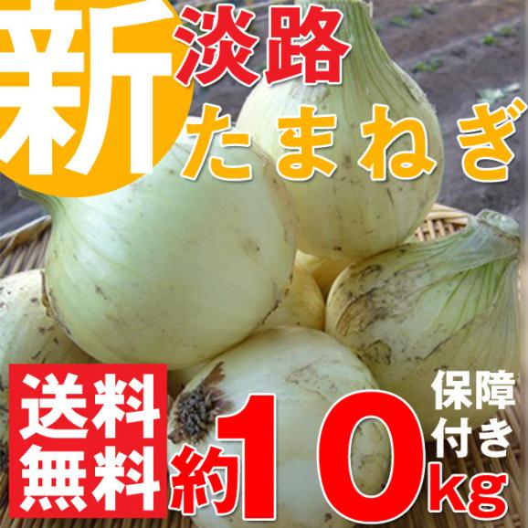 送料無料 有名飲食店 ホテル指名買い 淡路島産新たまねぎ９kg 10 傷み補償付きの約10kg 淡路産新たまねぎ 淡路産新玉ねぎ タマネギ 玉葱 淡路島 産玉ねぎ 贈り物 お土産 節約 通販 淡路産直販店の通販 お取り寄せなら ぐるすぐり